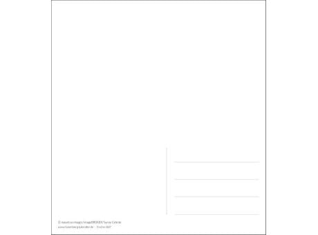 Fische Postkartenkalender