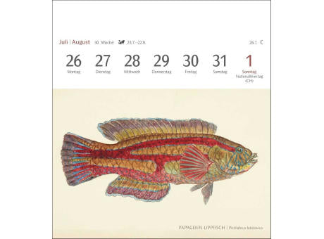 Fische Postkartenkalender