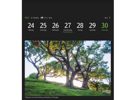 GEO Magische Natur Postkartenkalender