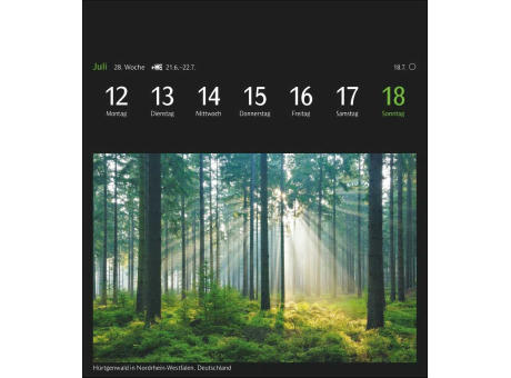 GEO Magische Natur Postkartenkalender
