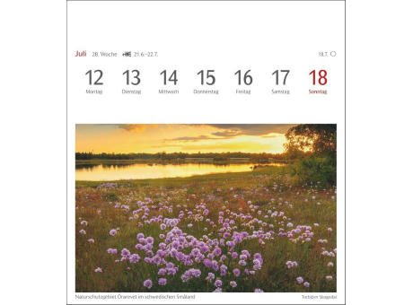 Lichtblicke Postkartenkalender
