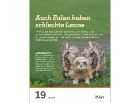 WAS IST WAS Der Kalender Tagesabreißkalender