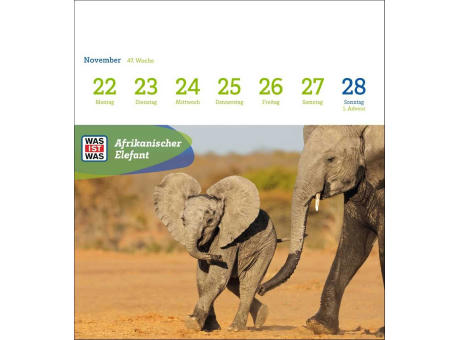 WAS IST WAS Geniale Tiere Postkartenkalender