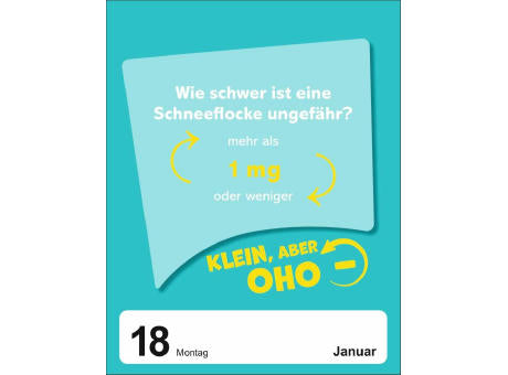 Was schätzt du denn? Tagesabreißkalender