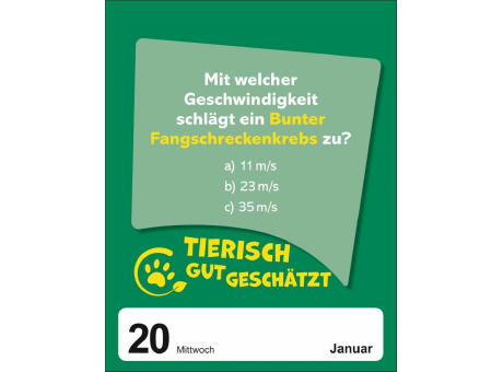 Was schätzt du denn? Tagesabreißkalender