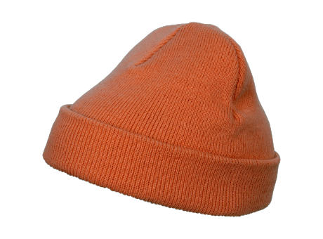 FX1500KC007-Heavyweight Beanie