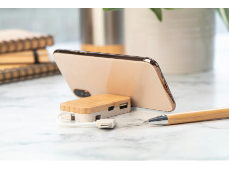 USB Hub Holbaru