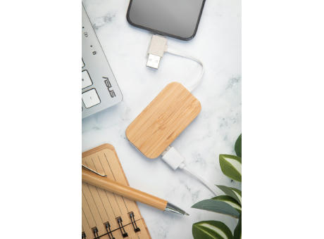 USB Hub Holbaru