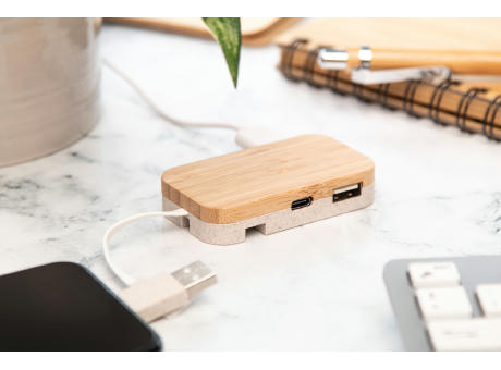 USB Hub Holbaru