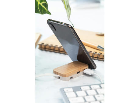 USB Hub Holbaru