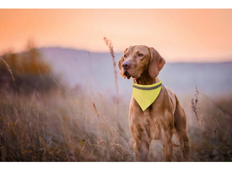 Reflektierendes Hundehalsband Lurex
