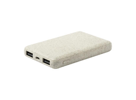 Powerbank Durum