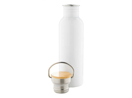 Edelstahl-Trinkflasche Colman