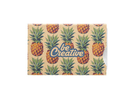 Minzbonbons in individueller Verpackung CreaMint 5 Eco