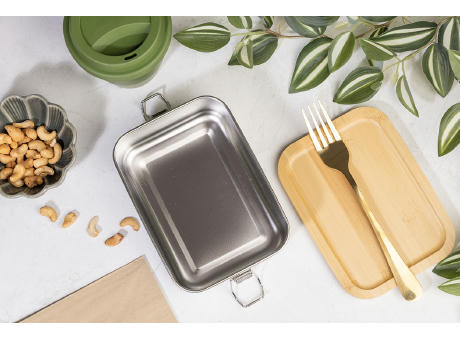 RSS Lunchbox Motetsu