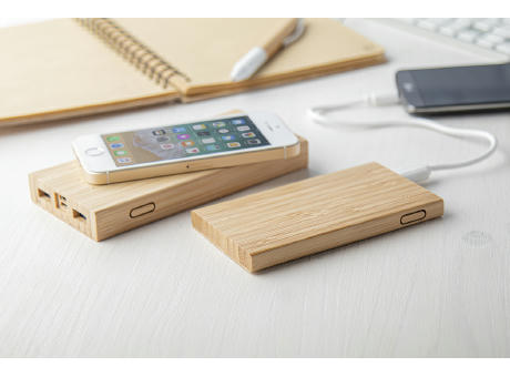 Powerbank Wooster