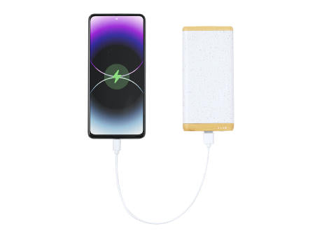 Powerbank Cereale
