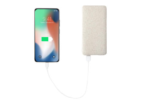 Powerbank Durum XL