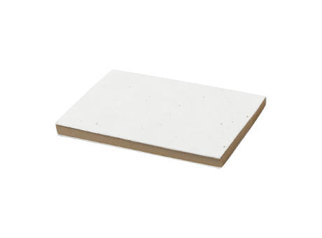 Saatpapier-Haftnotizblock Semeno Stick