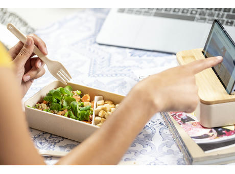 Lunchbox Laksa