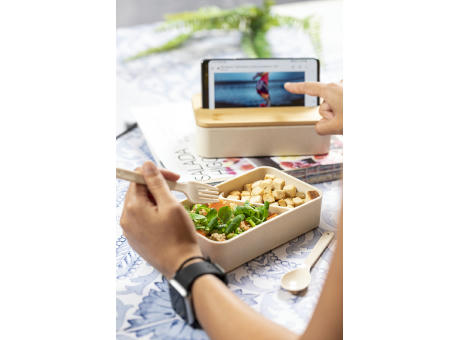 Lunchbox Laksa
