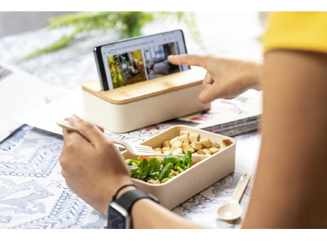 Lunchbox Laksa