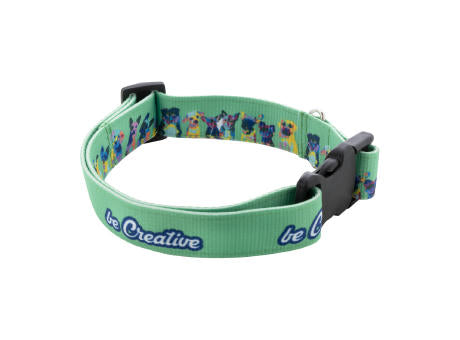 Individuelles Hundehalsband Ziggy