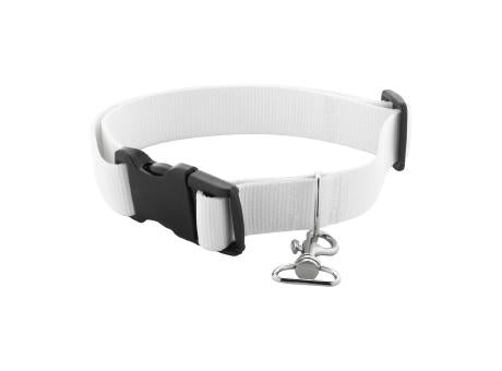 Individuelles Hundehalsband Ziggy