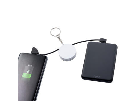 2-in-1 Ladekabel REEVES-EVERETTE II