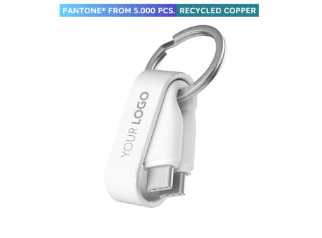 Zweins® C - Individuelle Pantone - Das USB-C Backup-Kabel