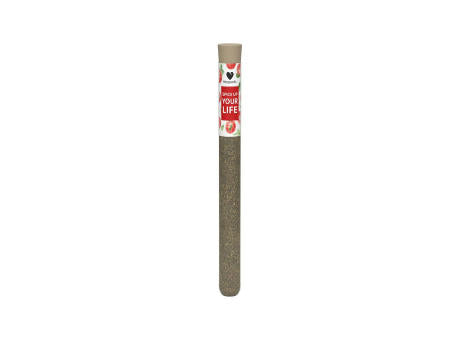 Spice Tube S
