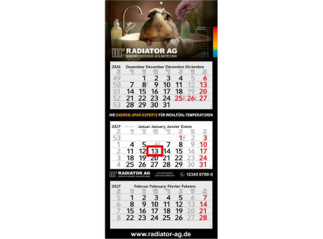 3-Monatskalender Mehrblock Profil 3 EXPRESS Schrift modern
