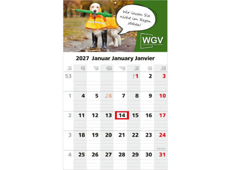 1-Monatskalender Einblatt Solo 1 EXPRESS