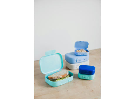 Day to Day Lunchbox Clip 670 ml