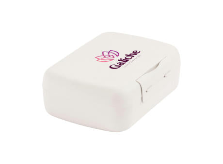 Day to Day Brunchbox 1,4 L