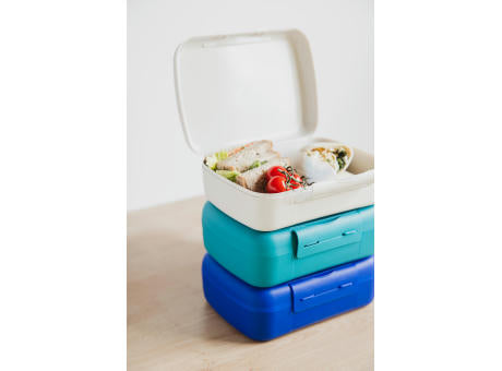 Day to Day Brunchbox 1,4 L