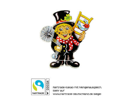 Schornsteinfeger