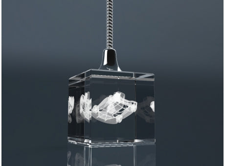 Crystal Memoclip
