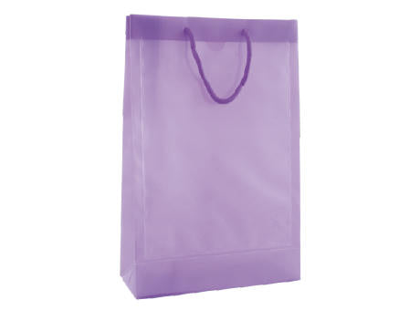 Tragetasche transparent mit 2 Fenstern A4