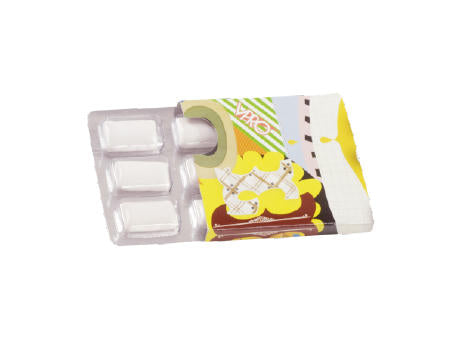 Kaugummi mit Xylitol 6 Stück in bedruckter Papphülle