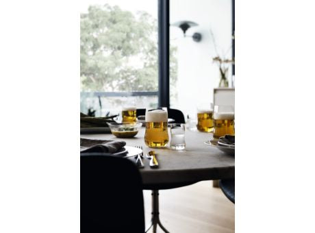 Holmegaard Future Glas 4er Set 37cl