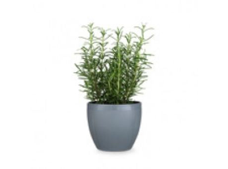 Rosendahl Grand Cru Übertopf Ø16cm grau