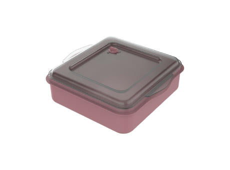 Universalbox „ToGo“