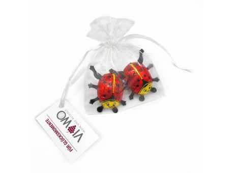 Organzasäckchen "Good Luck", mit Kärtchen