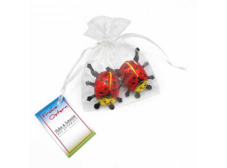 Organzasäckchen "Good Luck", mit Kärtchen