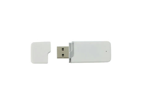 PA54S USB 2.0 A 64 MB Weiß