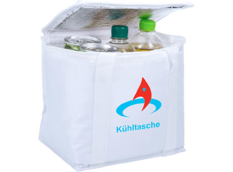 Kühltaschen-Box