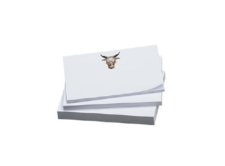 Haftnotizen 140x75 mm, 100 Blatt