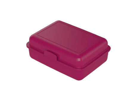 Vorratsdose "School-Box" groß
