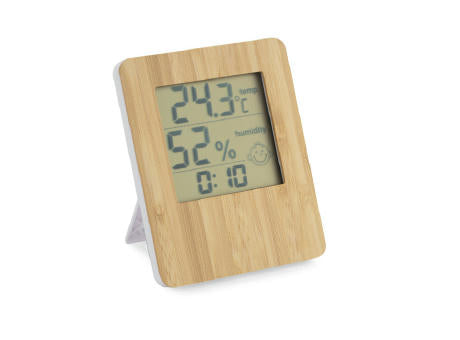 Wetterstation MARS